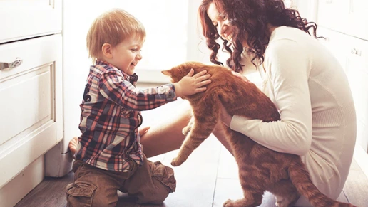 Star House Móveis Planejados