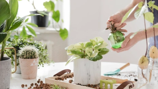 Star House Móveis Planejados