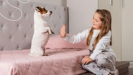 Star House Móveis Planejados