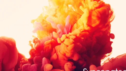 Star House Móveis Planejados