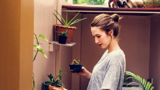 Star House Móveis Planejados